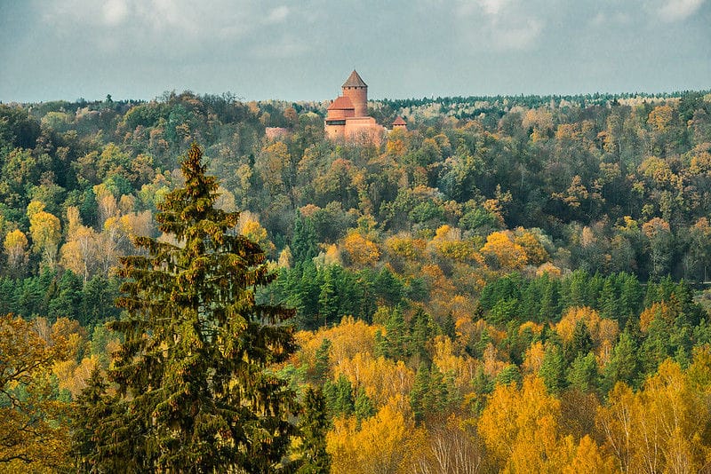 lettonie chateau trakai foret arbres o-nord