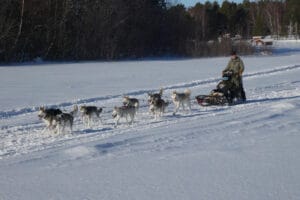 suede laponie lulea Jopikgården sejour hiver activite huskies neige safari o-nord