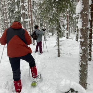 suede laponie lulea Jopikgården sejour hiver activite raquettes foret photographie o-nord