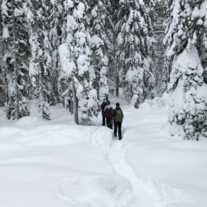 suede laponie lulea Jopikgården sejour hiver activite raquettes foret photographie o-nord
