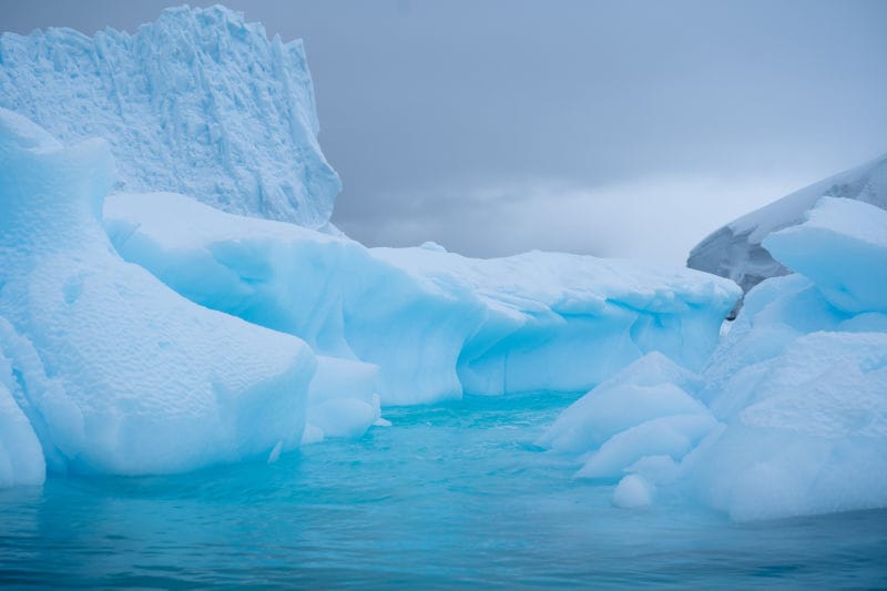 antarctique o-nord Faune croisière expédition
