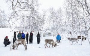 finlande laponie kilpisjarvi culture same elevage rennes montagne colline lac foret o-nord