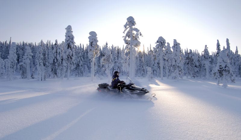 finlande norvege raid motoneige arctique paysage sauvage foret enneige arbre poudreuse neige ciel soleil o-nord