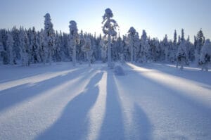 finlande norvege raid motoneige arctique paysage sauvage neige ciel forets enneigees poudreuse o-nord