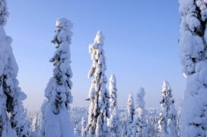 finlande norvege raid motoneige arctique paysage sauvage neige ciel forets enneigees o-nord