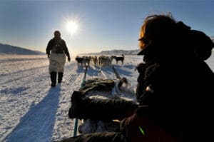 groenland kangerlussuaq chiens traineaux hiver meutre soleil o-nord