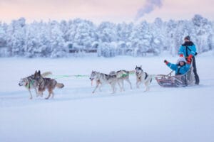 finlande laponie inari wilderness hotel huskies foret neige hiver o-nord