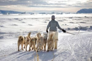 groenland ilulissat safari chiens traineau meute hiver neige icebergs o-nord