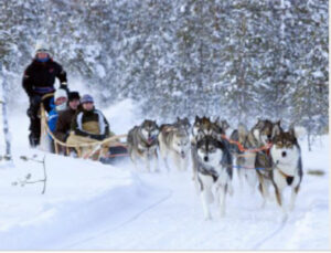 finlande tahko chalet balade chiens traineau hiver voyage o-nord
