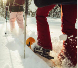 finlande tahko chalet raquettes neige foret hiver voyage o-nord