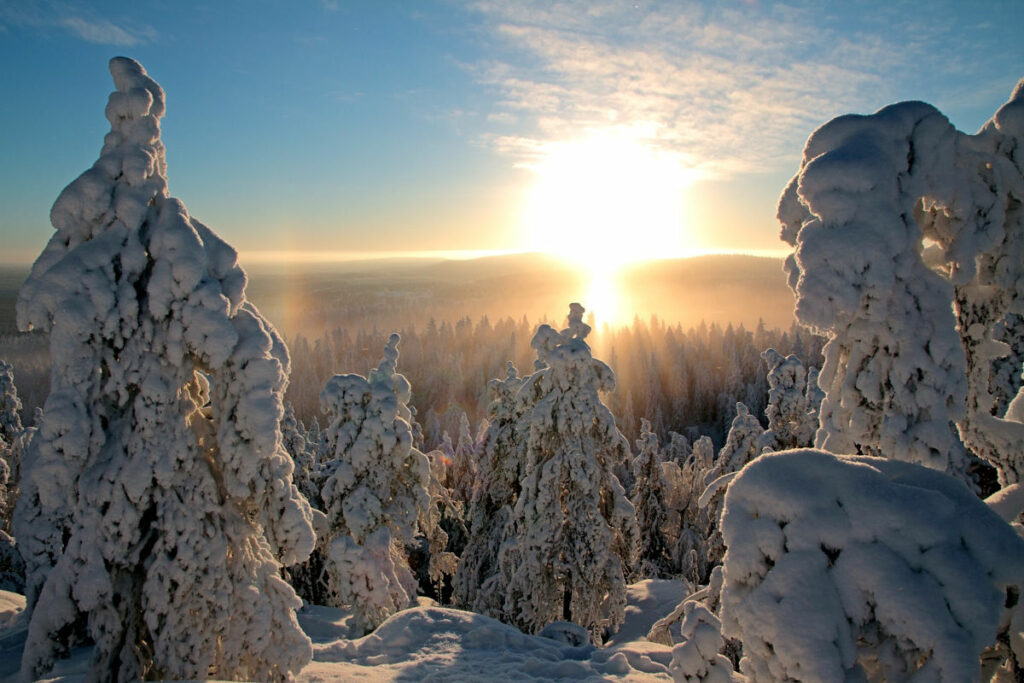 finlande vuokatti sejour lever soleil neige poudreuse arbres voyage o-nord