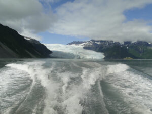 alaska kenai fjords glacier montagne faune croisiere voyage o-nord