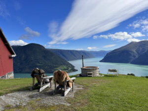 norvege hafslo sognefjord vue incroybable jacuzzi raaum gard montagne voyage o-nord