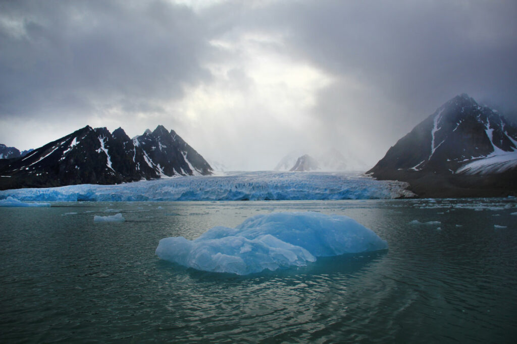 norvege spitzberg croisiere grands espaces oiseaux banquises iceberg ocean glace voyage o-nord