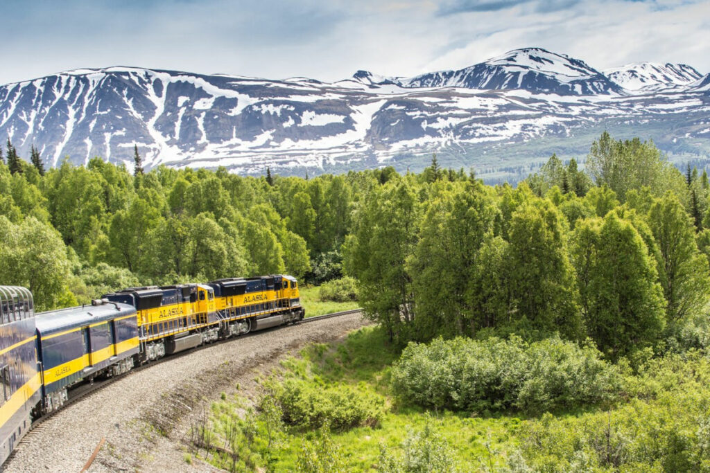 etas-unis alaska train forêt montagnes neige voyage o-nord