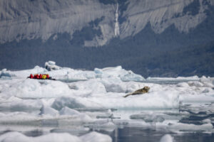etats-unis alaska colombie britannique icy bay otarie glacier iceberg voyage o-nord
