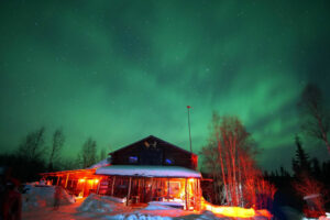 etat-unis alaska fairbanks cercle arctique chalet aurore boréale northern alaska tour company voyage o-nord