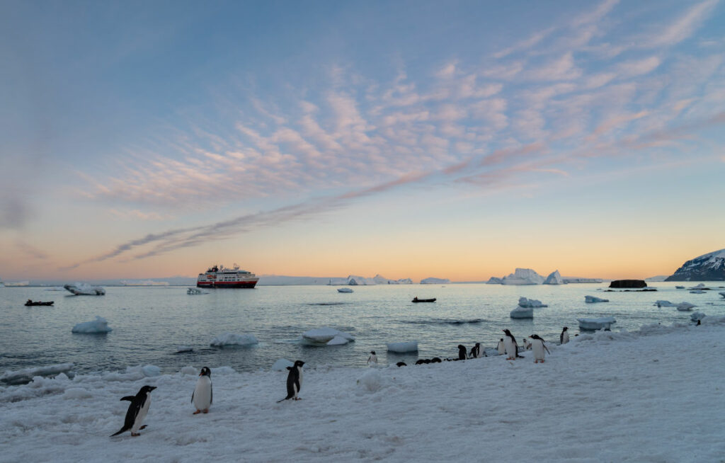 antarctique faune iceberg glace neige paysage bateau croisière voyage o-nord