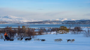 norvège tromso chiens de traineau neige paysage glacier voyage o-nord