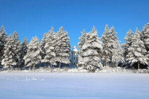 finlande villa cone beach extérieur nature paysage lac hiver sapin neige luxe voyage o-nord