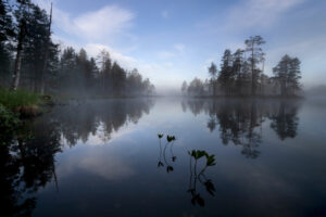 finlande oulu randonnee syote kuusamo vtt parc national oulanka lacs voyage o-nord