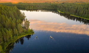finlande oulu syote hossa parc national canoe forets lacs voyage o-nord
