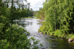 finlande oulu randonnee syote kuusamo vtt parc national oulanka bois forets lacs cabane chalet voyage o-nord