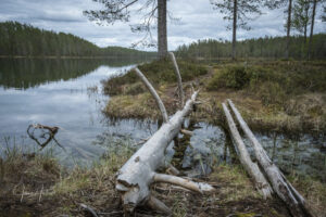 finlande oulu lac posio livo kitka lac kayak forets bois guide voyage o-nord