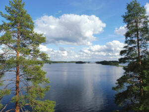 finlande kuhmo festival 2024 hotel kalevala foret lac voyage o-nord