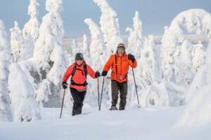 finlande syote pudasjarvi sejour famille pere noel hiver randonnee ski arbres neige voyage o-nord