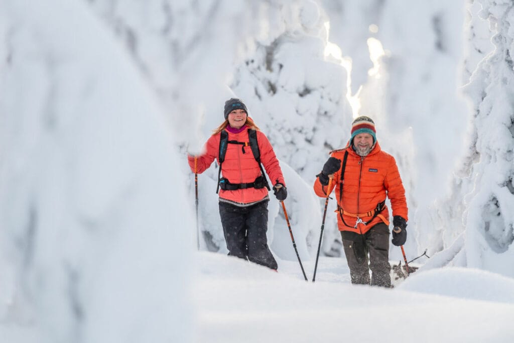 finlande Syöte parc national de Riisitunturi Posio Laponie paysages enneigés arbres poudreuse sejour raquettes voyage o-nord