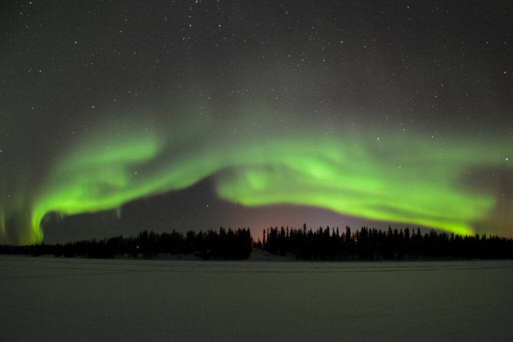 finlande kuhmo sejour loup arctique aurores boreales neige voyage o-nord