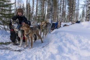 finlande laponie syote paysages hivernales neige forets safari chiens huskies voyage sur mesure o-nord