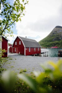 norvege Straumsjøen Vesterålen Rorbuer exterieur fleurs montagnes voyage sur mesure o-nord