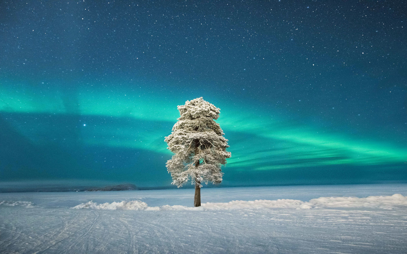 finlande laponie hiver aurores boreales lac gele arbre enneige voyage o-nord