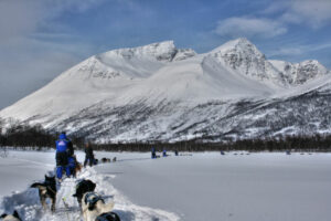 norvege laponie nord lenagen lyngen lodge experience safari chien aurores voyage o-nord