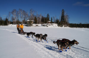 canada Québec Laurentides Montréal mont tremblant rivière rouge expédition chiens traineau paysages lacs foret voyage o-nord