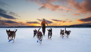 canada Québec Laurentides Montréal mont tremblant rivière rouge expédition chiens traineau amusement jeux voyage o-nord