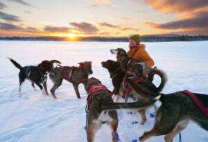 canada Québec Laurentides Montréal mont tremblant rivière rouge expédition chiens traineau amusement jeux voyage o-nord