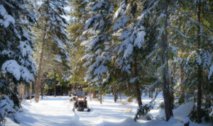 canada Québec Laurentides Montréal mont tremblant rivière rouge expédition chiens traineau paysages motoneige foret voyage o-nord