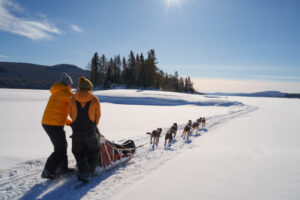 canada Québec Laurentides Montréal mont tremblant rivière rouge expédition chiens traineau paysages lacs foret voyage o-nord