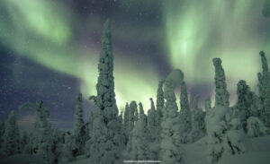 Finlande Laponie Muonio Nivunki Village paysages arbres enneigés aurores boreales voyage o-nord