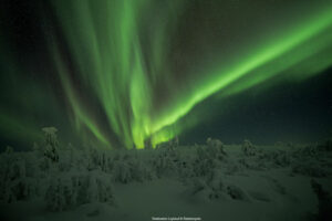 Finlande Laponie Muonio Nivunki Village aurores boreales arbres enneigés pourdreuse voyage o-nord