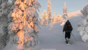 Finlande Laponie Muonio Nivunki Village balade raquettes arbres enneigés pourdreuse lever soleil voyage o-nord