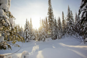 canada québec safari motoneige hautes laurentides montagnes forêts neiges arbres voyage o-nord