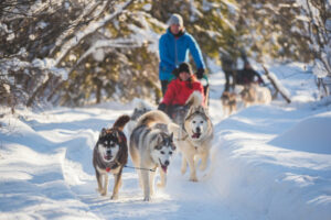 canada québec safari motoneige hautes laurentides montagnes forêts neiges arbres traineau chiens voyage o-nord