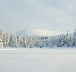 Finlande Laponie Levi The Fell parc nataional voyage o-nord