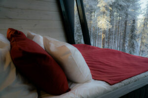 Finlande Laponie Salla Wilderness Lodges Chambre nature intérieur Forêt voyage o-nord