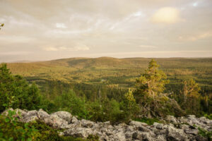 Finlande Laponie Salla Wilderness Lodges Panorama Paysage Colline rochers Forêt voyage o-nord