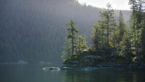 Canada Colombie Britannique Desolution Sound Maple Leaf Adventures Forêt Mer Bras de mer Fjord voyage o-nord